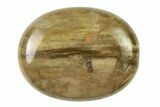 1.7" Petrified Wood Pocket Stones  - Photo 2